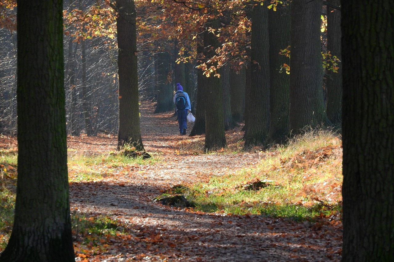 Journaling Through Change: Making Sense of Seasons You Didn't Choose