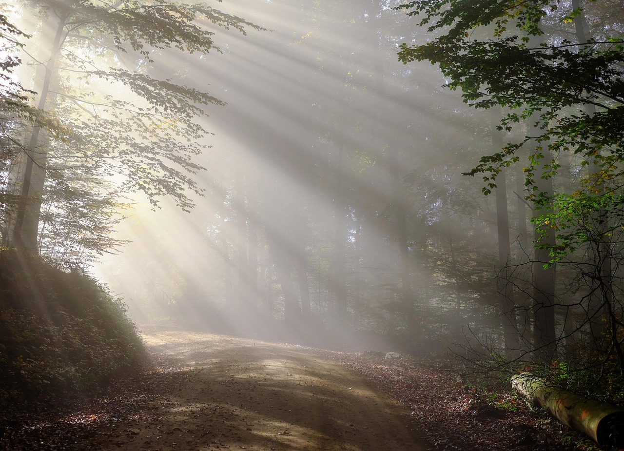 Writing Through the Fog: Journaling When You Feel Stuck